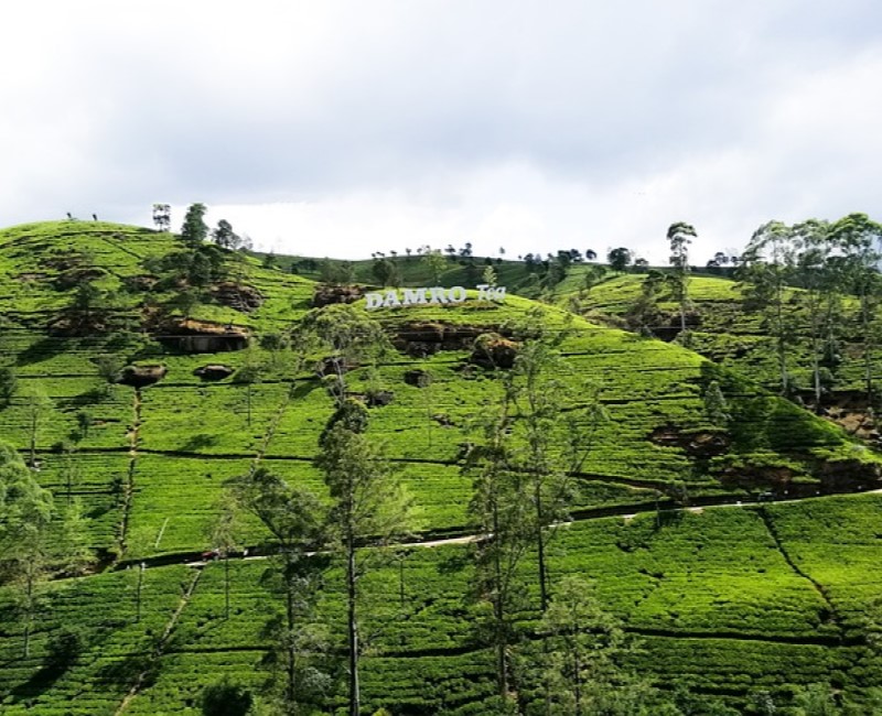 Nature/Trekking Tours